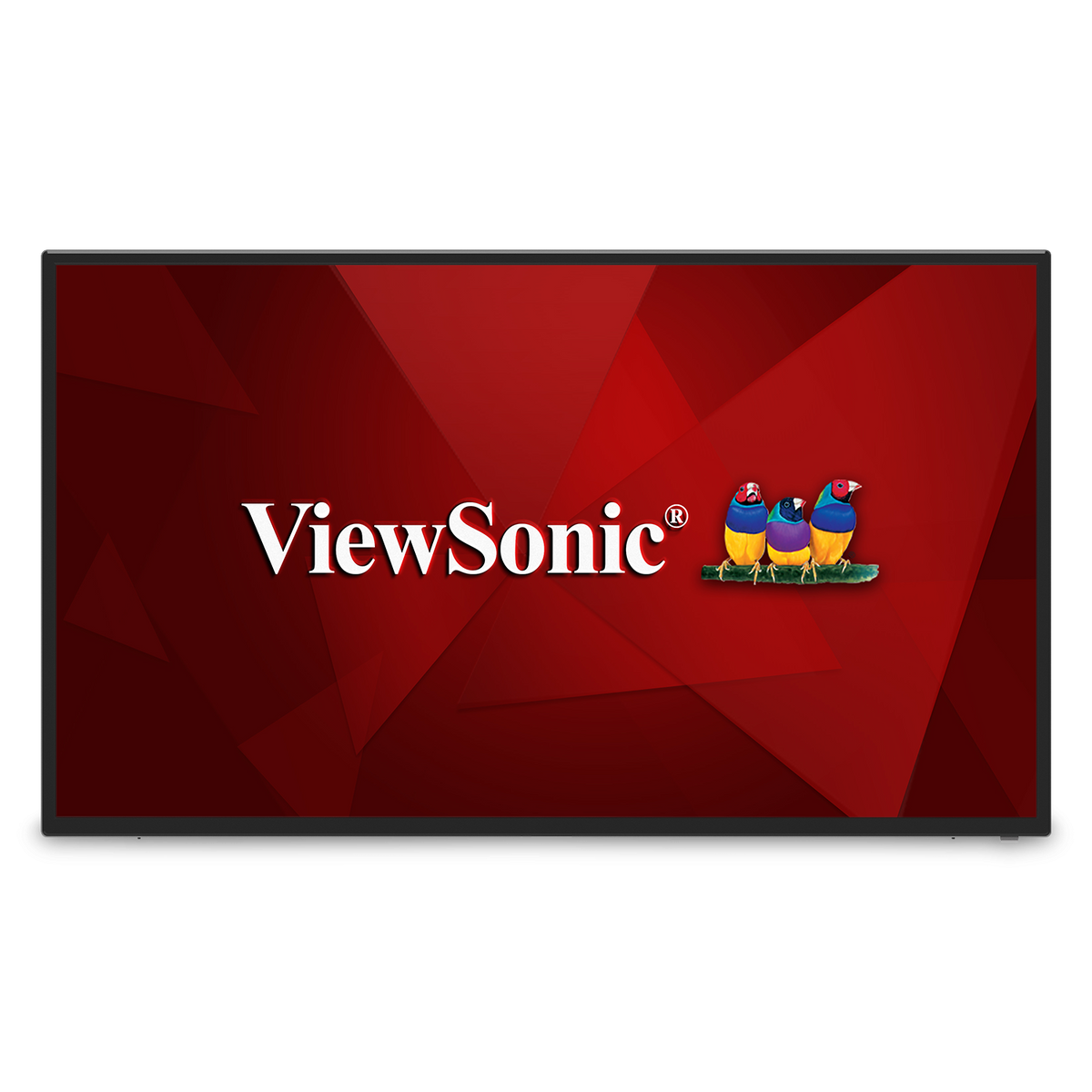 ViewSonic ViewBoard 43′’ 4K Ultra HD Commercial Display showing a red geometric background with a brand logo and three small birds perched on a branch.
